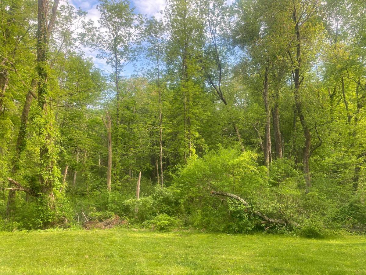 Newly Renovated 3Br Hudson Valley House Ulster Park Eksteriør billede