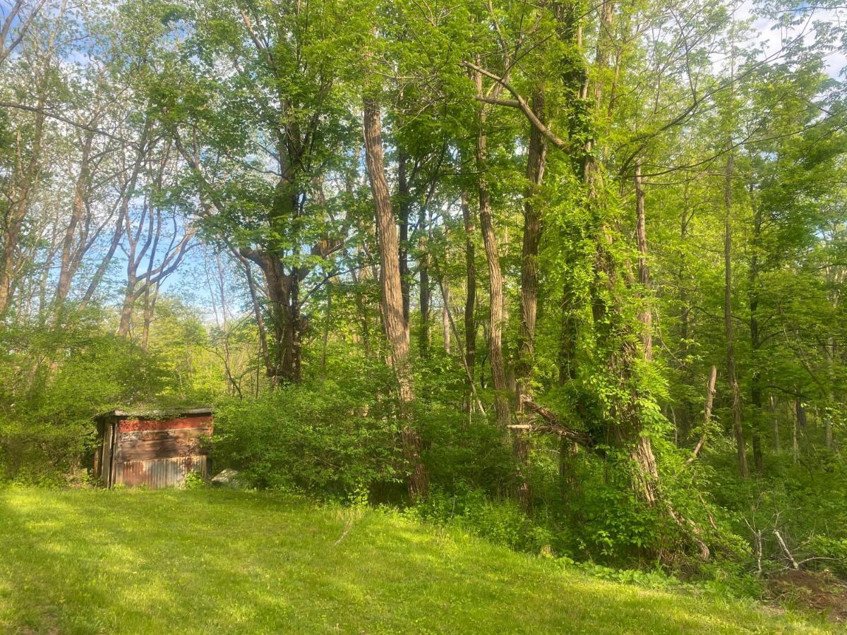 Newly Renovated 3Br Hudson Valley House Ulster Park Eksteriør billede